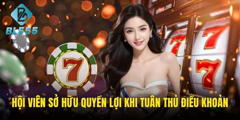 Hội viên cần tuân thủ những điều khoản hệ thống
